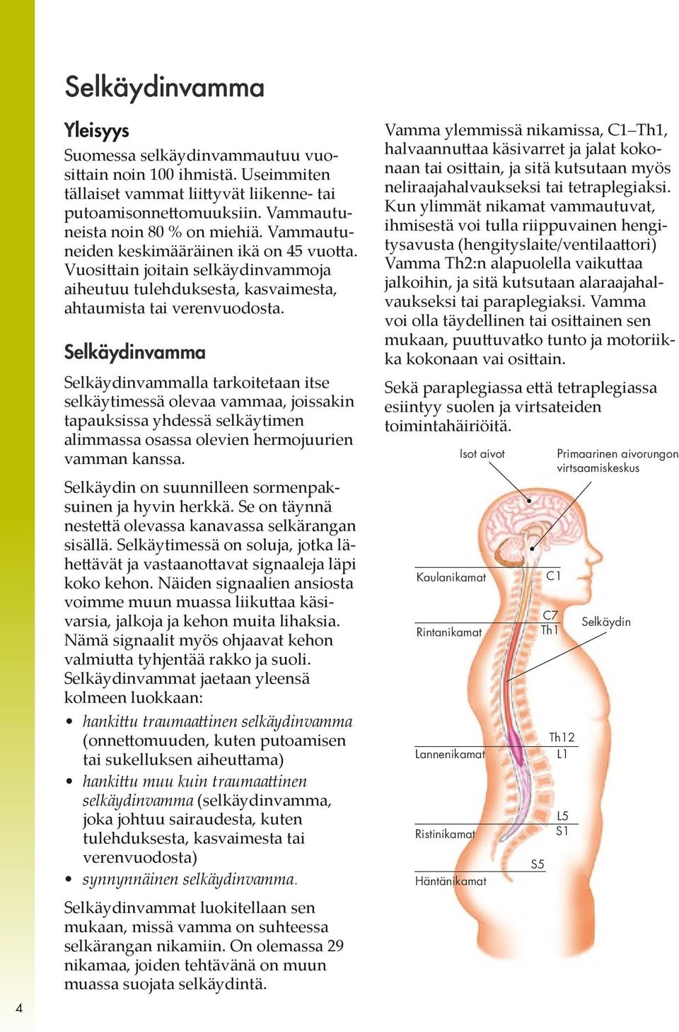 Selkäydinvamma Selkäydinvammalla tarkoitetaan itse selkäytimessä olevaa vammaa, joissakin tapauksissa yhdessä selkäytimen alimmassa osassa olevien hermojuurien vamman kanssa.