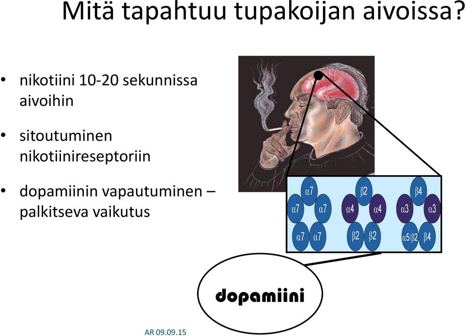 nikotiinireseptoriin dopamiinin vapautuminen