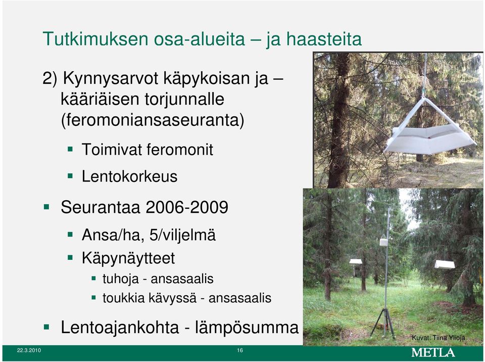 2006-2009 Ansa/ha, 5/viljelmä Käpynäytteet tuhoja - ansasaalis toukkia