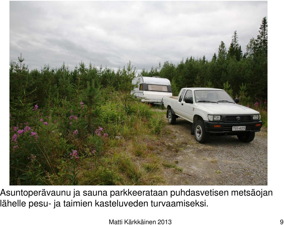 metsäojan lähelle pesu- ja taimien