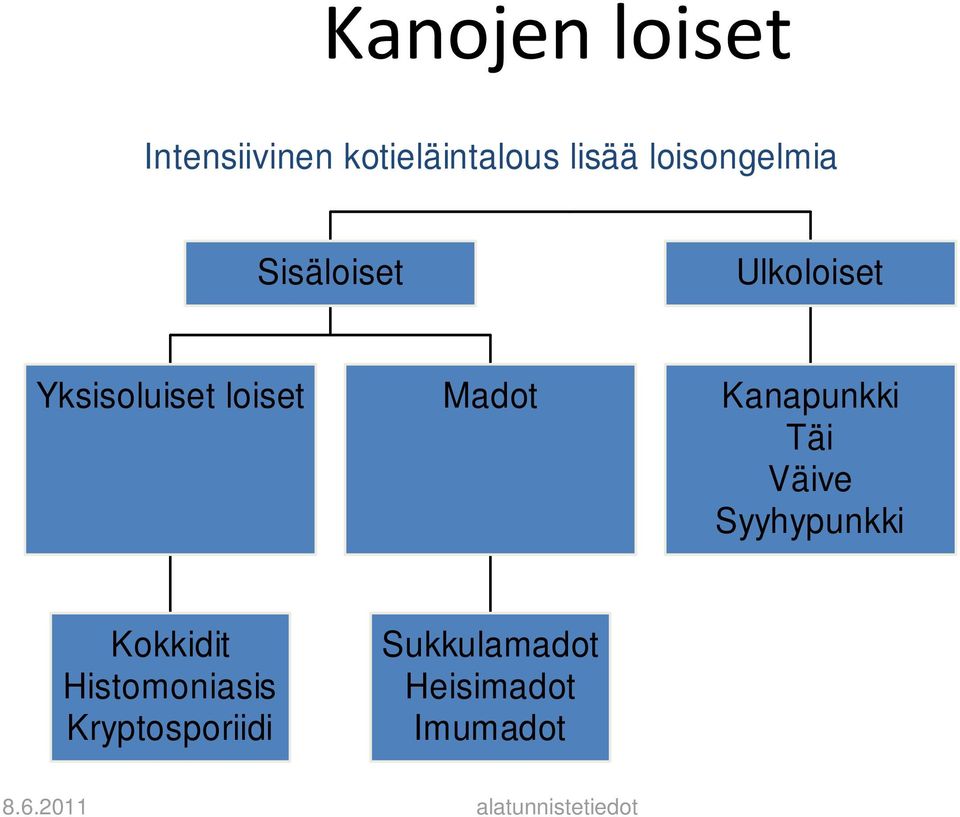 loiset Madot Kanapunkki Täi Väive Syyhypunkki