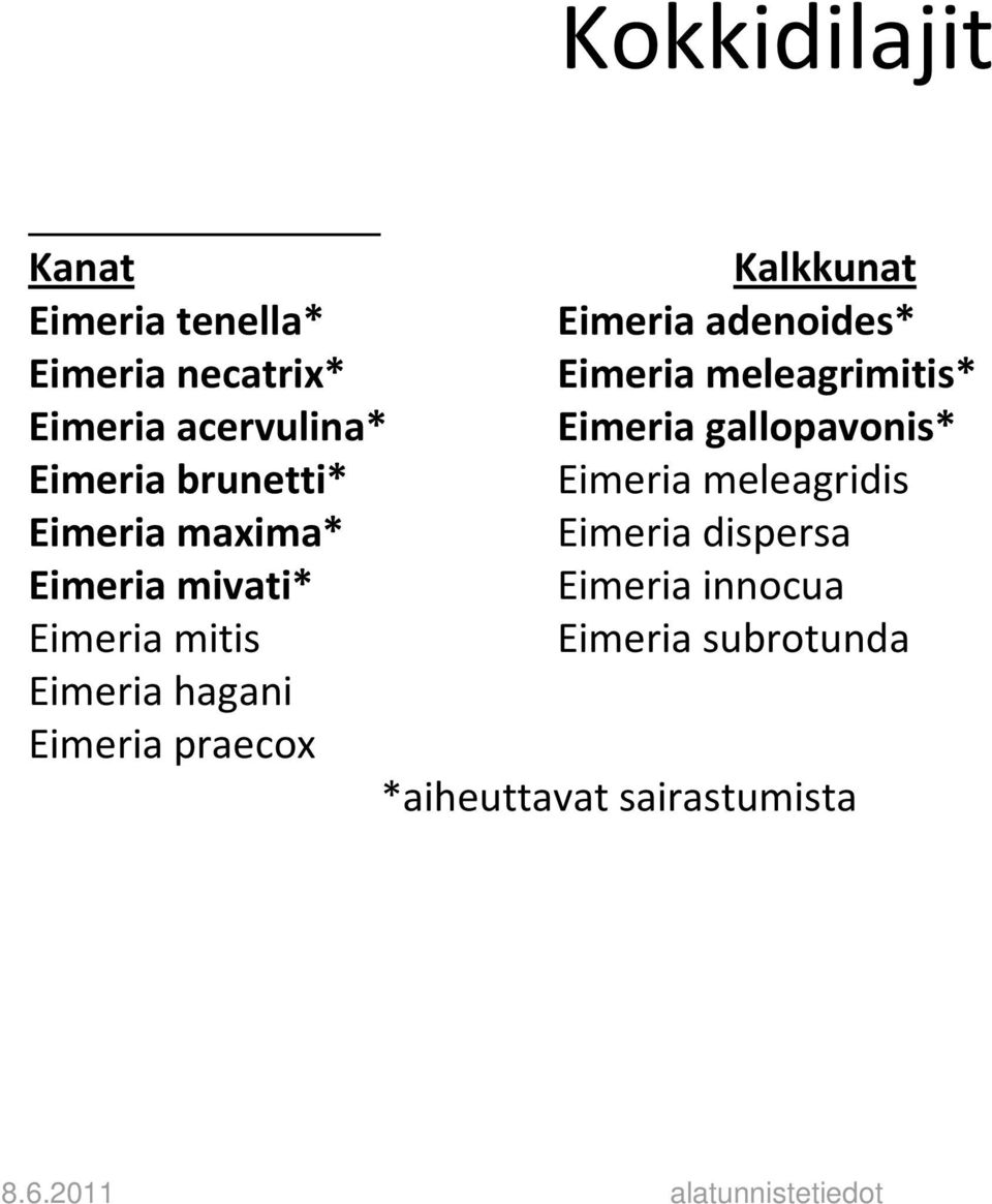 Eimeria meleagridis Eimeria maxima* Eimeria dispersa Eimeria mivati* Eimeria innocua