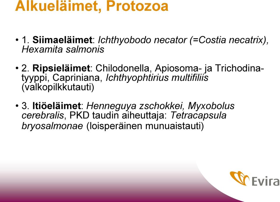 Ripsieläimet: Chilodonella, Apiosoma- ja Trichodinatyyppi, Capriniana, Ichthyophtirius