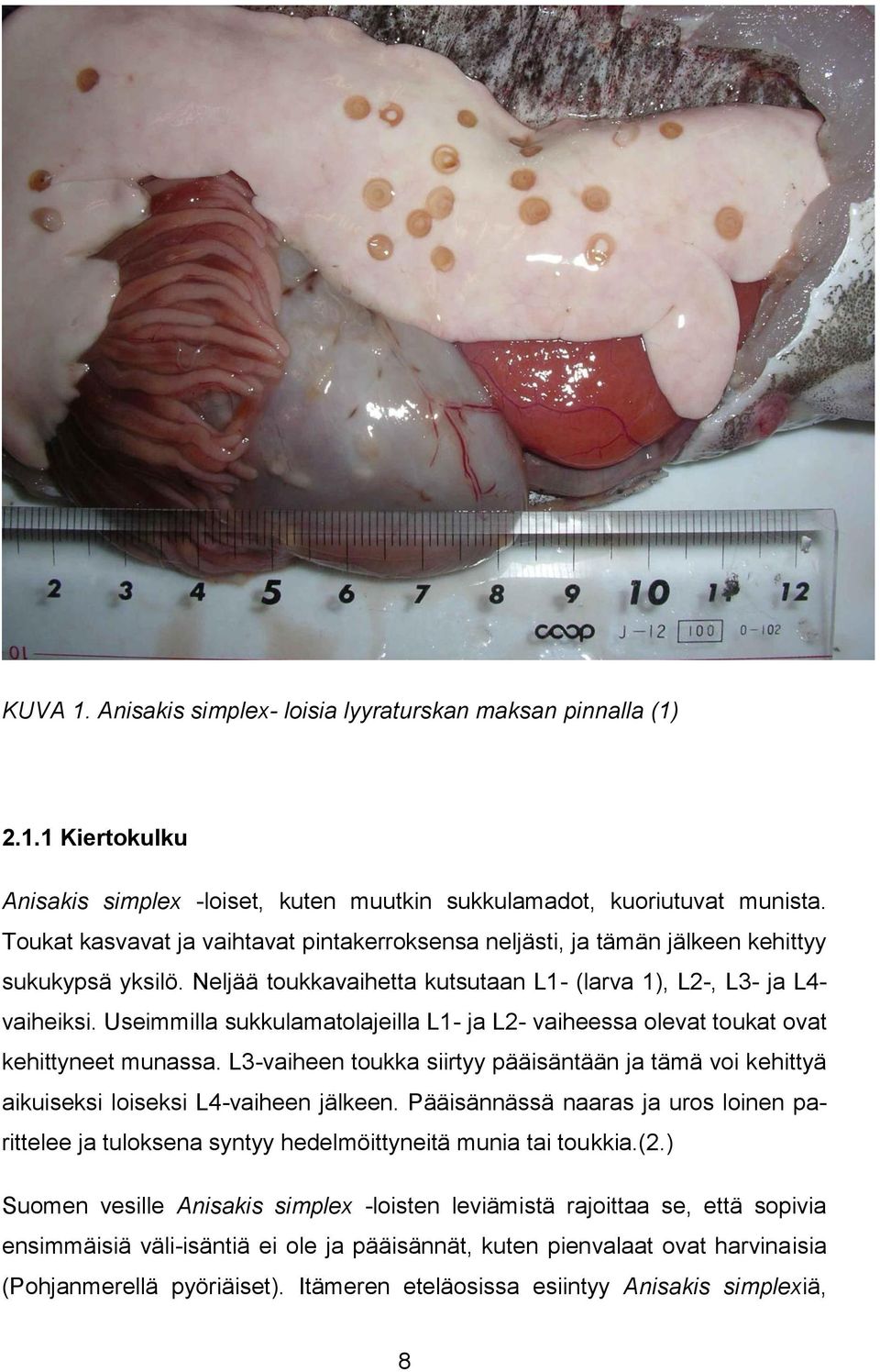 Useimmilla sukkulamatolajeilla L1- ja L2- vaiheessa olevat toukat ovat kehittyneet munassa. L3-vaiheen toukka siirtyy pääisäntään ja tämä voi kehittyä aikuiseksi loiseksi L4-vaiheen jälkeen.