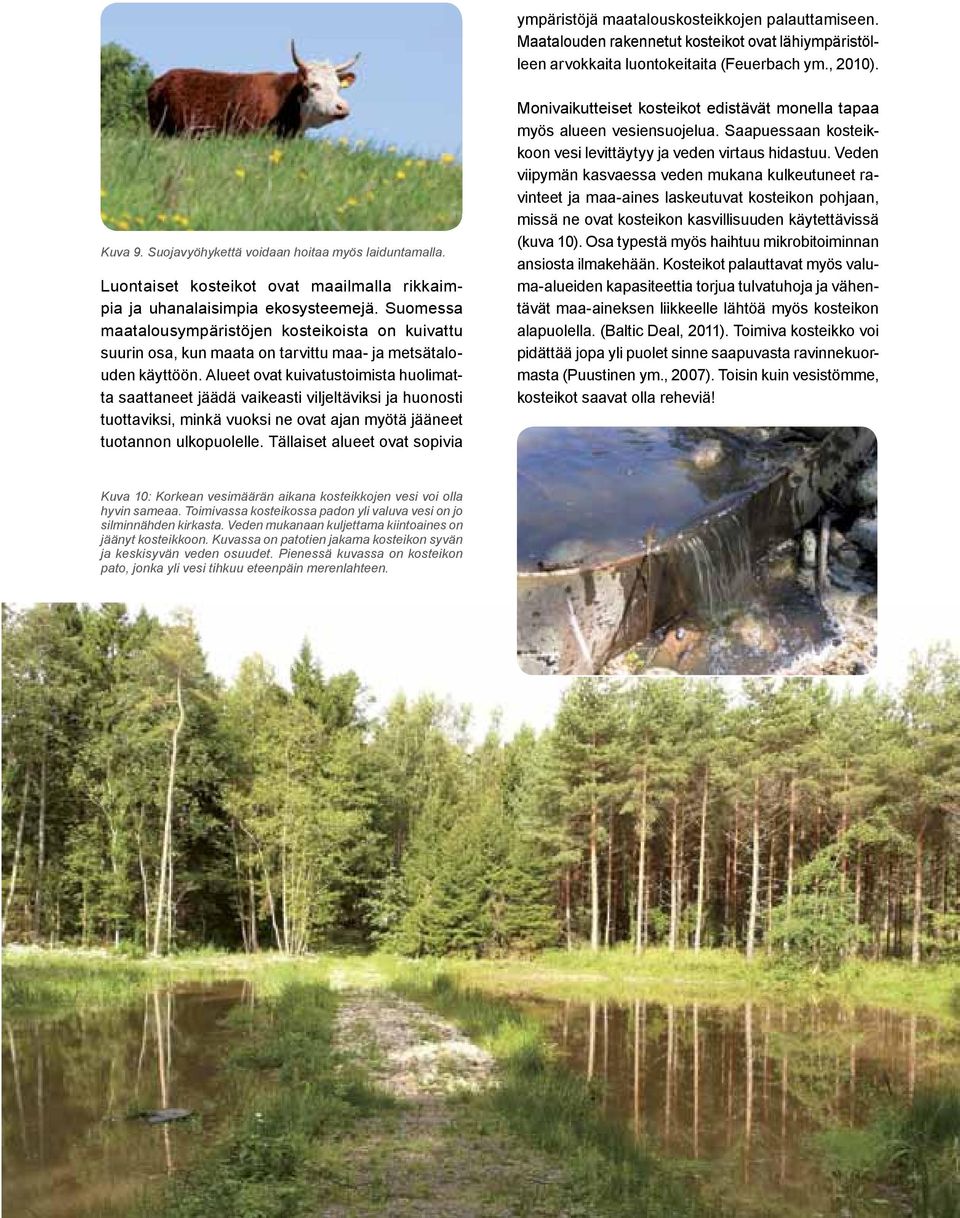 Suomessa maatalous ympäristöjen kosteikoista on kuivattu suurin osa, kun maata on tarvittu maa- ja metsätalouden käyttöön.