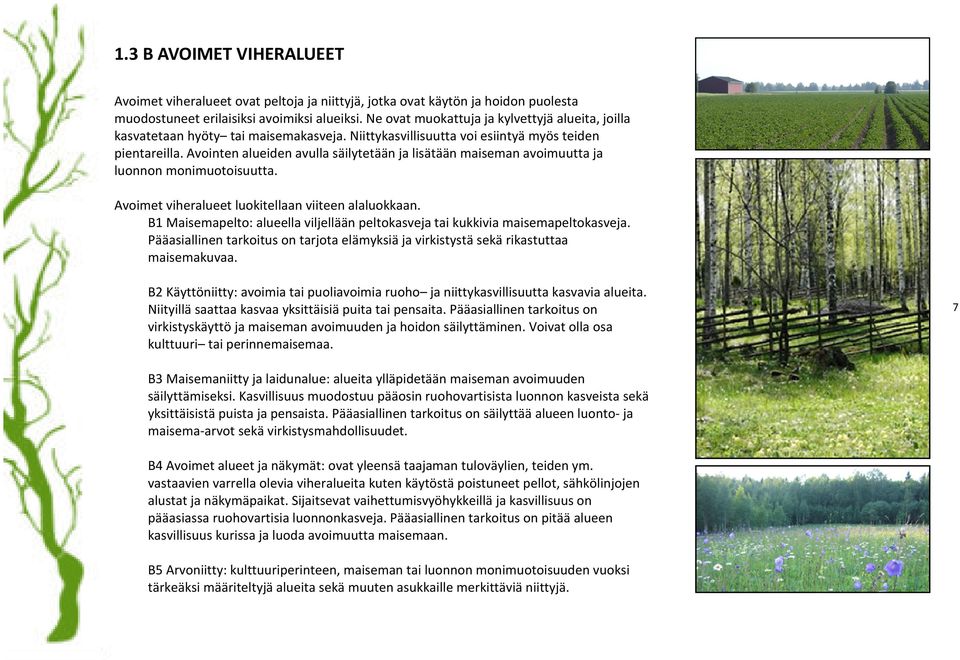 Avointen alueiden avulla säilytetään ja lisätään maiseman avoimuutta ja luonnon monimuotoisuutta. Avoimet viheralueet luokitellaan viiteen alaluokkaan.