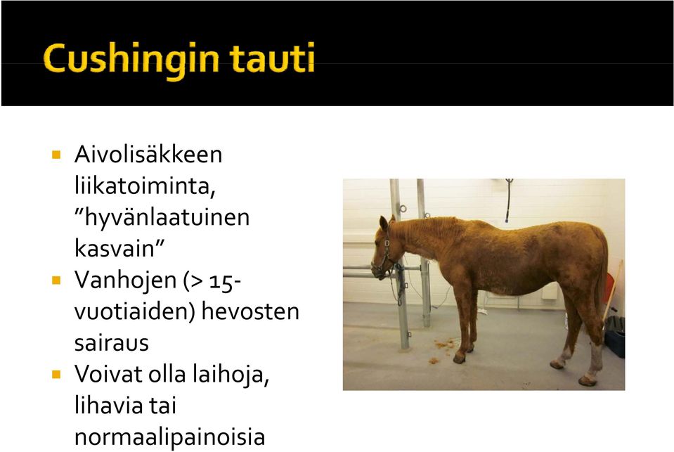 15 vuotiaiden) hevosten sairaus
