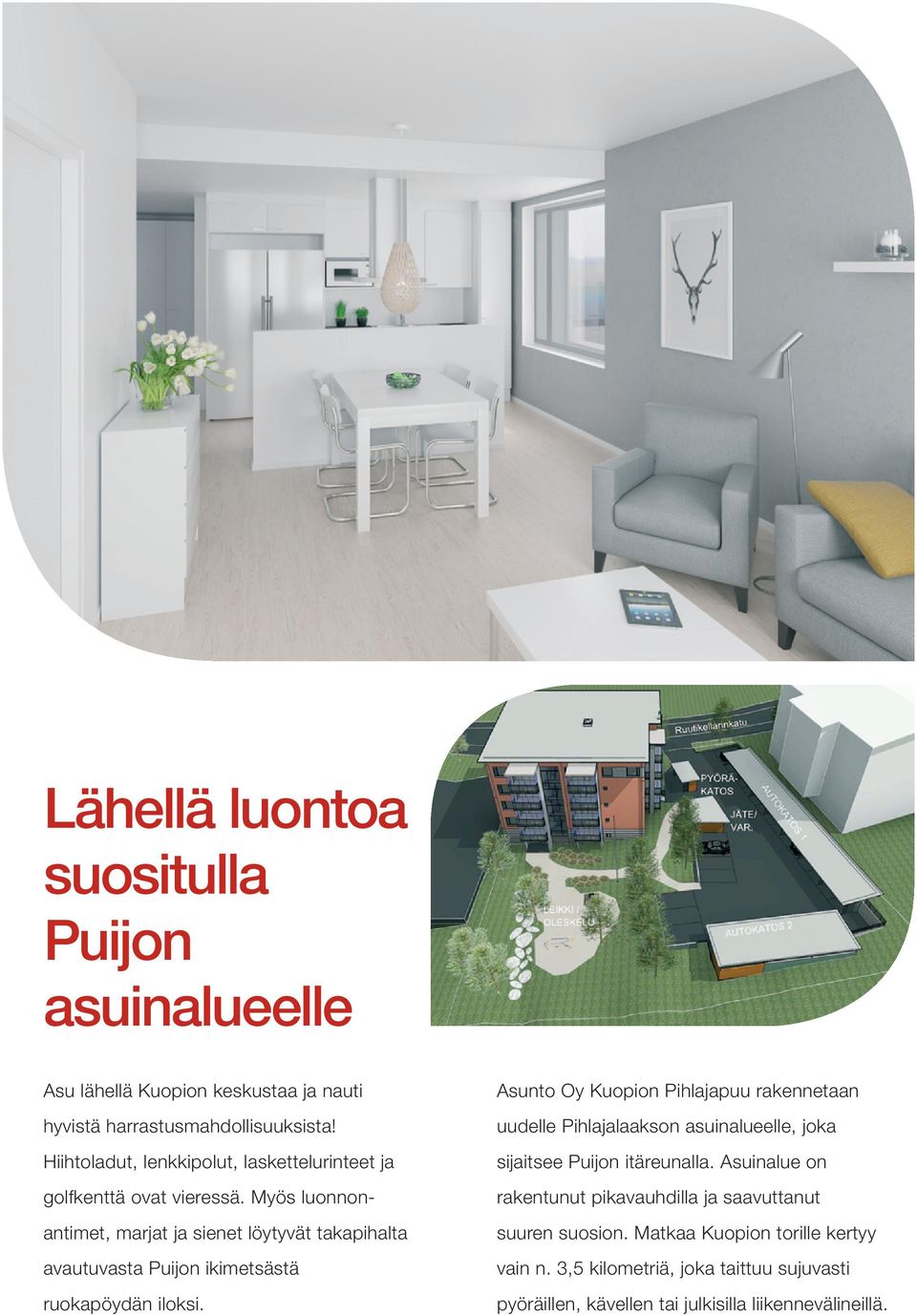 yös luonnonantimet, marjat ja sienet löytyvät takapihalta avautuvasta Puijon ikimetsästä ruokapöydän iloksi.