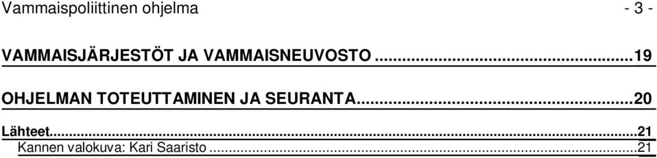 ..19 OHJELMAN TOTEUTTAMINEN JA SEURANTA.