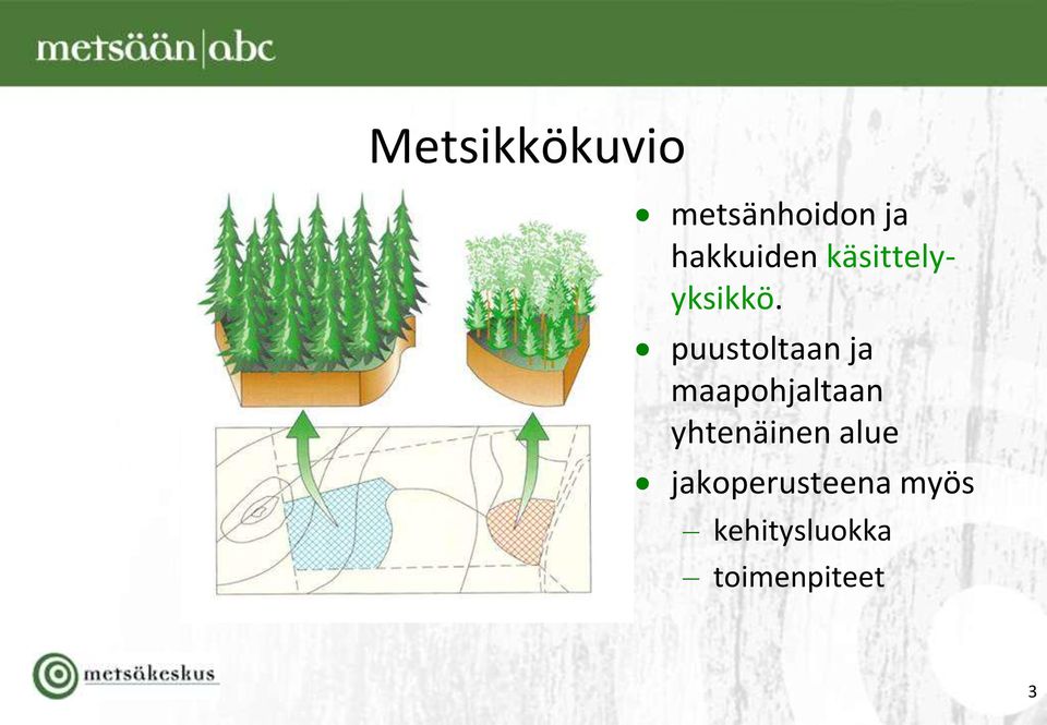 puustoltaan ja maapohjaltaan