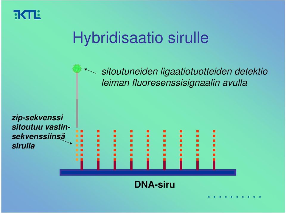 fluoresenssisignaalin avulla