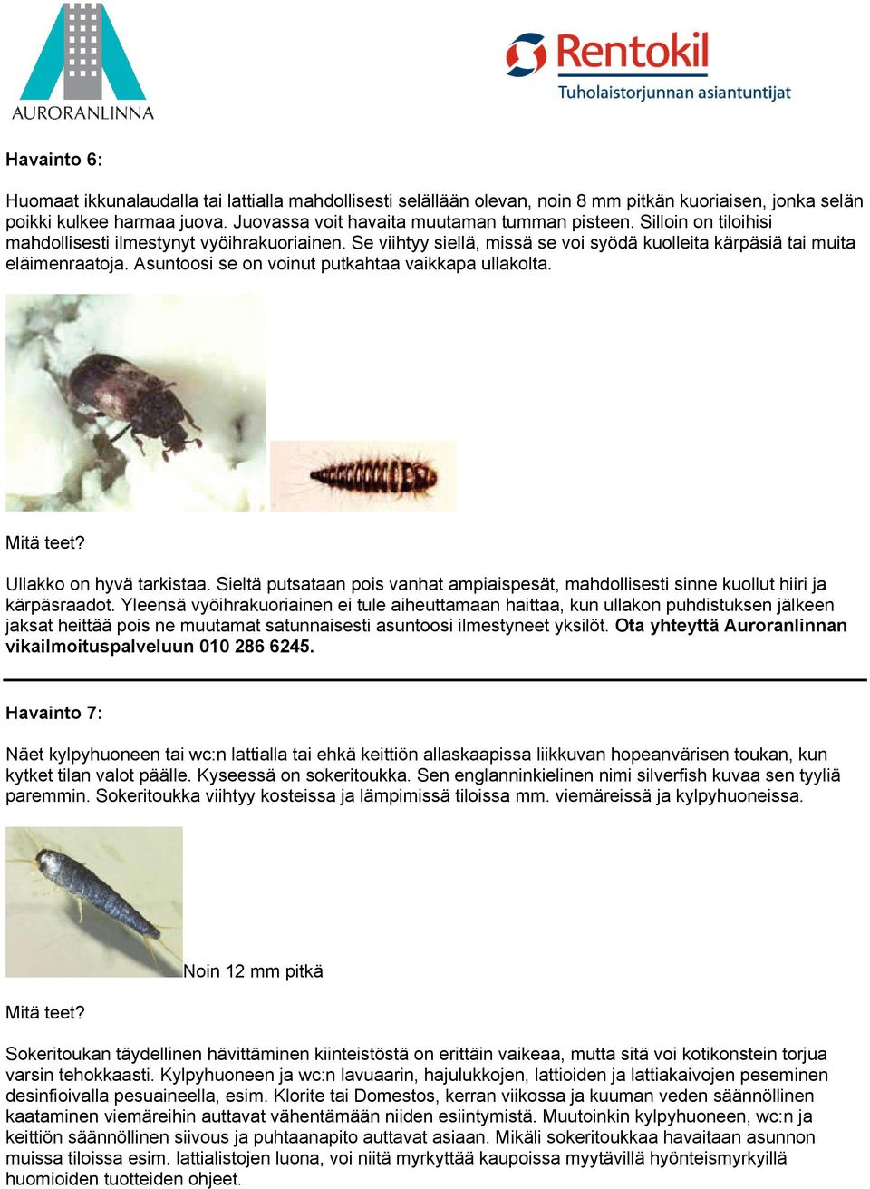 Ullakko on hyvä tarkistaa. Sieltä putsataan pois vanhat ampiaispesät, mahdollisesti sinne kuollut hiiri ja kärpäsraadot.