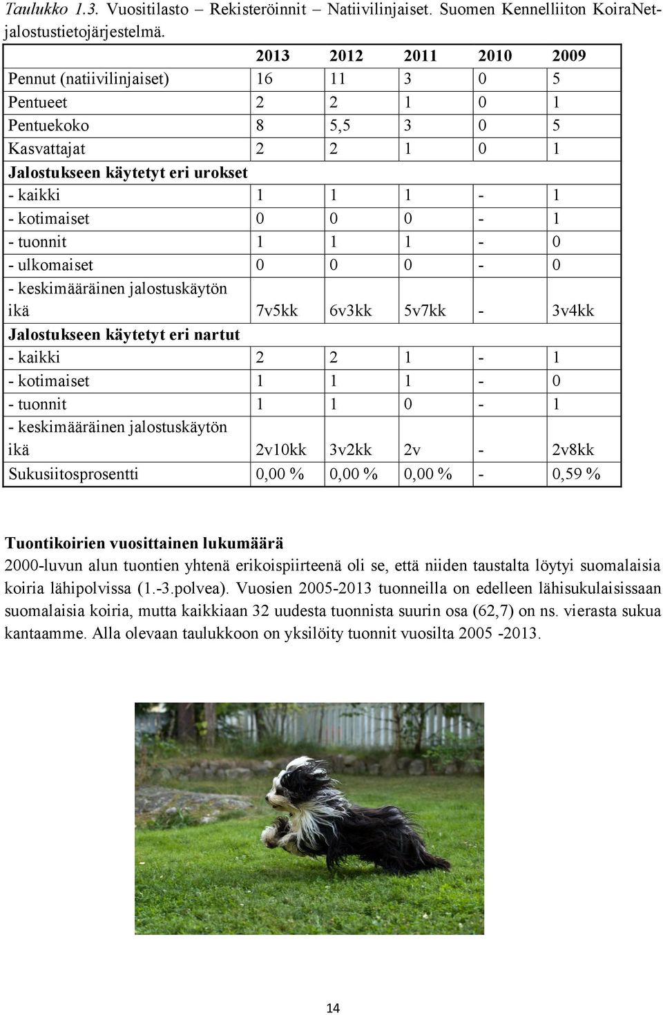 - tuonnit 1 1 1-0 - ulkomaiset 0 0 0-0 - keskimääräinen jalostuskäytön ikä 7v5kk 6v3kk 5v7kk - 3v4kk Jalostukseen käytetyt eri nartut - kaikki 2 2 1-1 - kotimaiset 1 1 1-0 - tuonnit 1 1 0-1 -