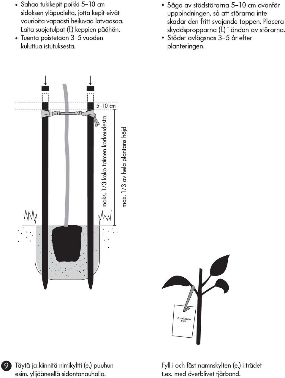 Såga av stödstörarna 5 10 cm ovanför uppbindningen, så att störarna inte skadar den fritt svajande toppen. Placera skyddspropparna (f.) i ändan av störarna.