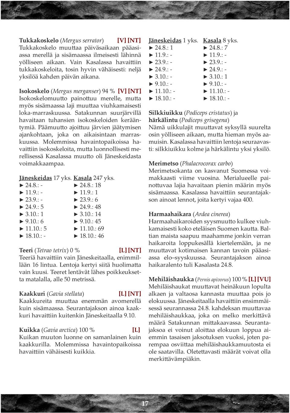 Isokoskelo (Mergus merganser) 94 % [V] [NT] Isokoskelomuutto painottuu merelle, mutta myös sisämaassa laji muuttaa viuhkamaisesti loka-marraskuussa.