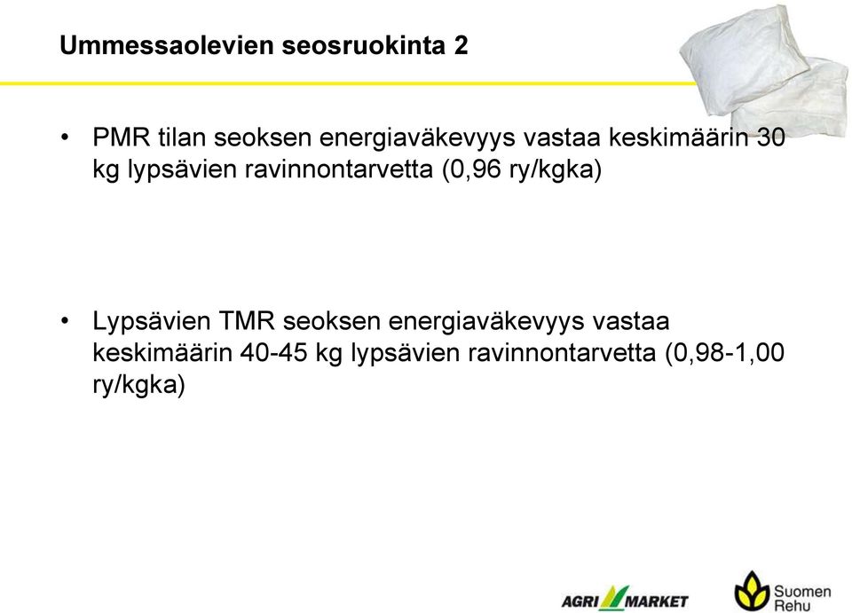 ravinnontarvetta (0,96 ry/kgka) Lypsävien TMR seoksen