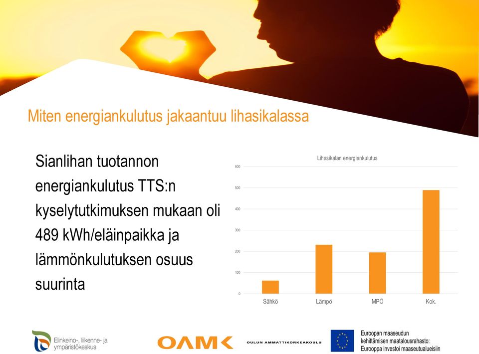 489 kwh/eläinpaikka ja lämmönkulutuksen osuus suurinta 600