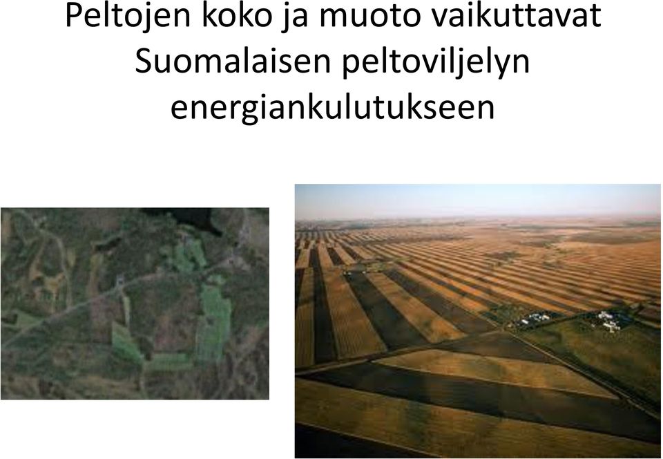 Suomalaisen