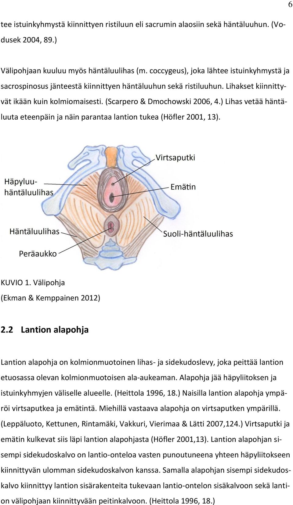 ) Lihas vetää häntäluuta eteenpäin ja näin parantaa lantion tukea (Höfler 2001, 13). KUVIO 1. Välipohja (Ekman & Kemppainen 2012) 2.