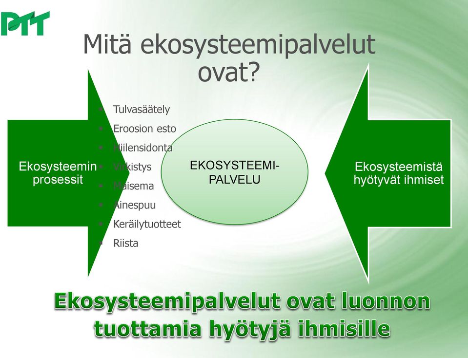 Hiilensidonta Virkistys Maisema Ainespuu