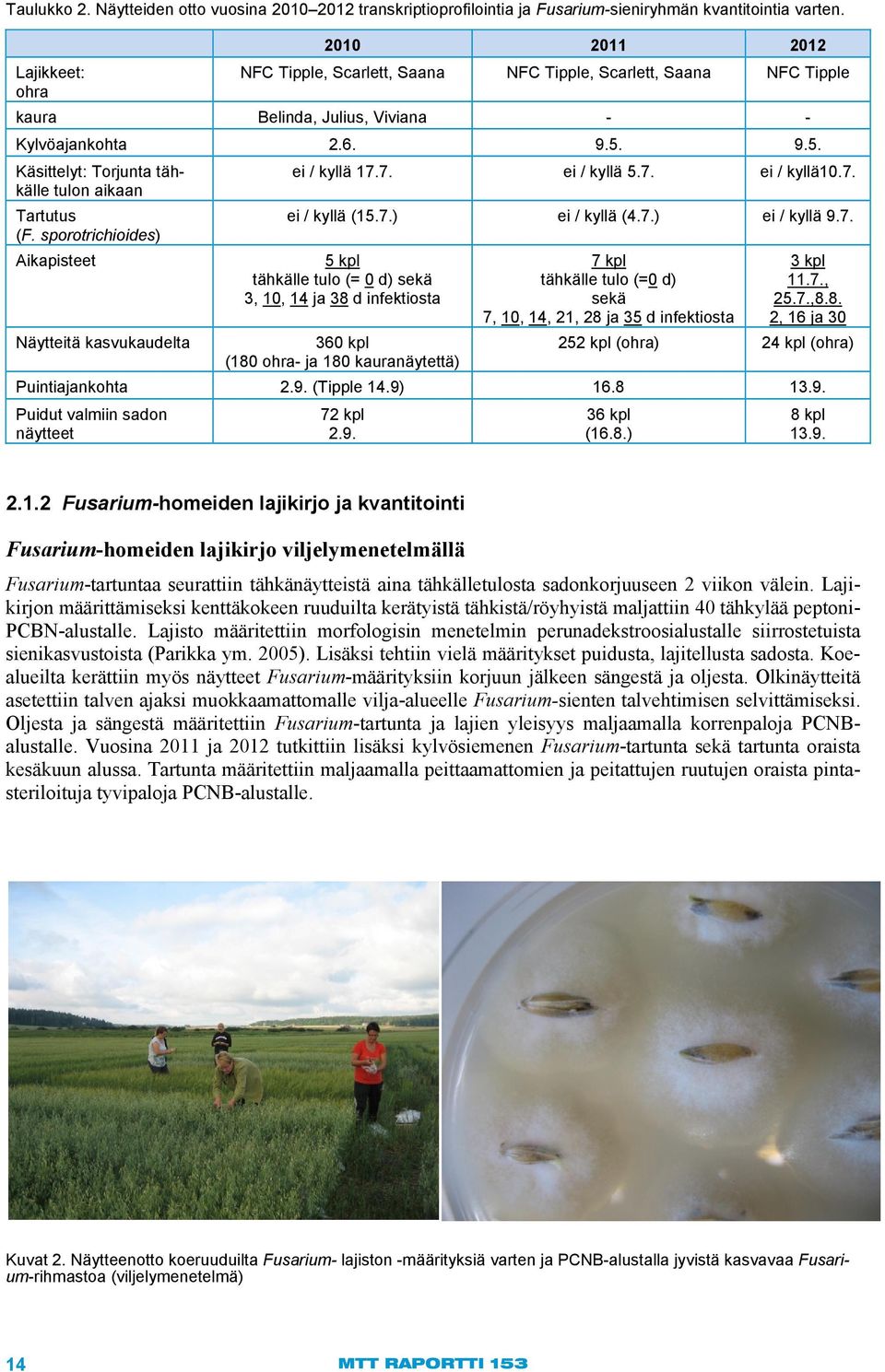 9.5. Käsittelyt: Torjunta tähkälle tulon aikaan Tartutus (F. sporotrichioides) Aikapisteet Näytteitä kasvukaudelta ei / kyllä 17.7. ei / kyllä 5.7. ei / kyllä10.7. ei / kyllä (15.7.) ei / kyllä (4.7.) ei / kyllä 9.