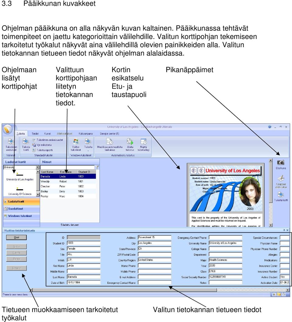 Valitun korttipohjan tekemiseen tarkoitetut työkalut näkyvät aina välilehdillä olevien painikkeiden alla.