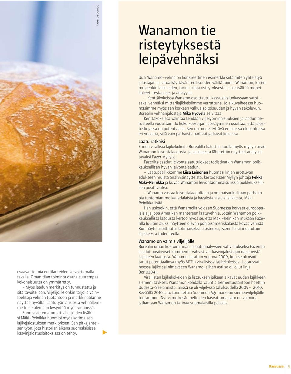 Laatutyön ansiosta vehnällemme tulee olemaan kysyntää myös viennissä. Suomalaisten ammattiviljelijöiden lisäksi Mäki-Reinikka huomioi myös kotimaisen lajikejalostuksen merkityksen.