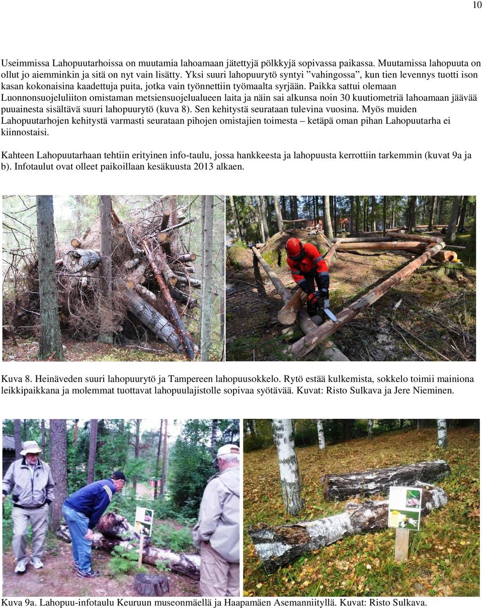 Paikka sattui olemaan Luonnonsuojeluliiton omistaman metsiensuojelualueen laita ja näin sai alkunsa noin 30 kuutiometriä lahoamaan jäävää puuainesta sisältävä suuri lahopuurytö (kuva 8).
