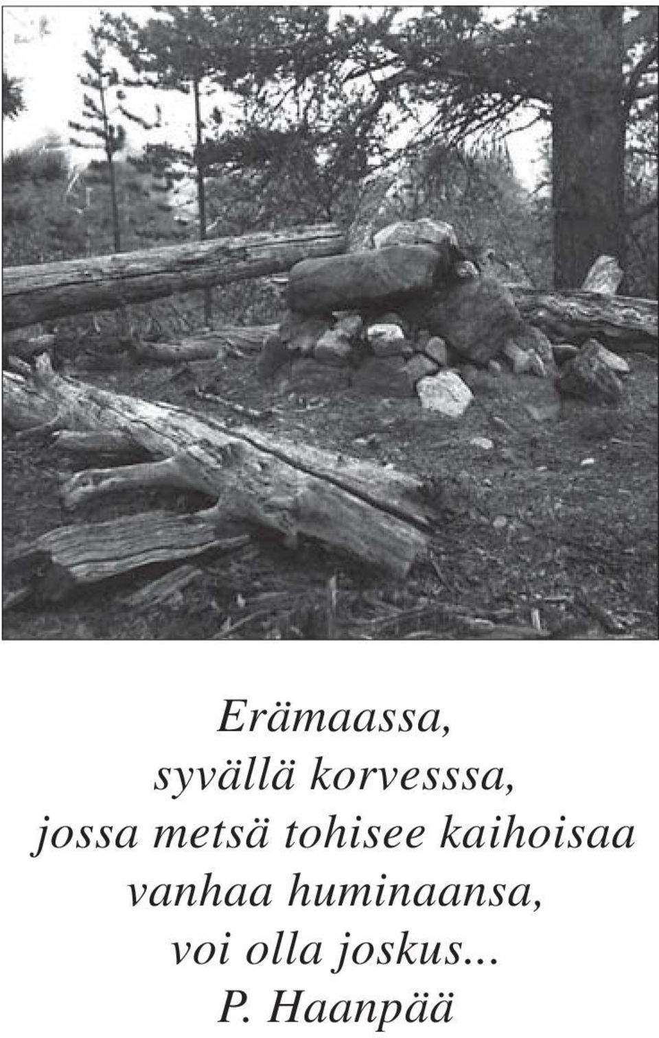 tohisee kaihoisaa vanhaa