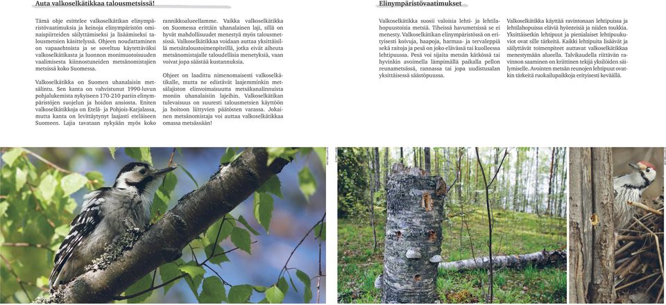 Ohjeen noudattaminen on vapaaehtoista ja se soveltuu käytettäväksi valkoselkätikasta ja luonnon monimuotoisuuden vaalimisesta kiinnostuneiden metsänomistajien metsissä koko Suomessa.