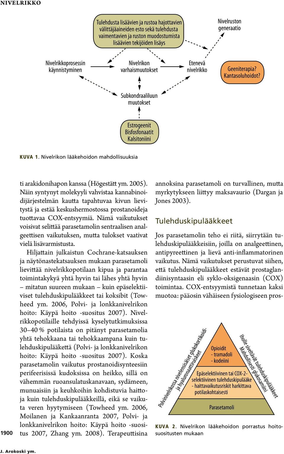 Nivelrikon lääkehoidon mahdollisuuksia 1900 ti arakidonihapon kanssa (Högestätt ym. 2005).