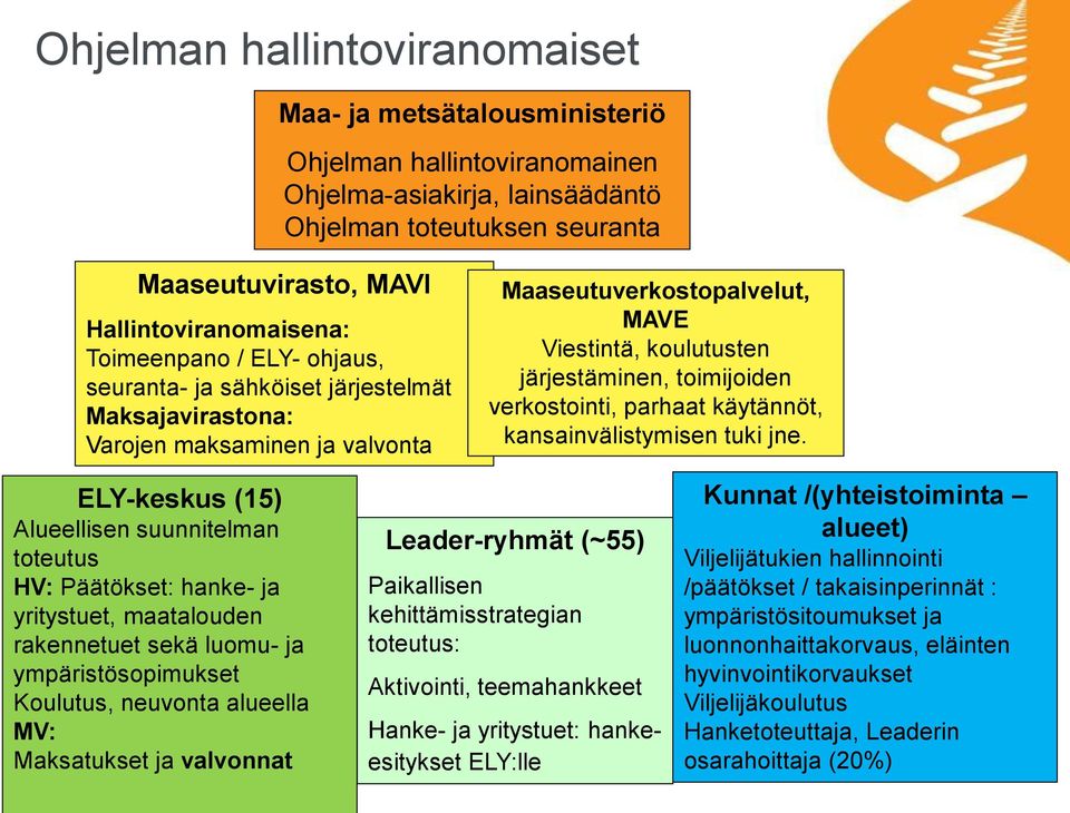 verkostointi, parhaat käytännöt, kansainvälistymisen tuki jne.