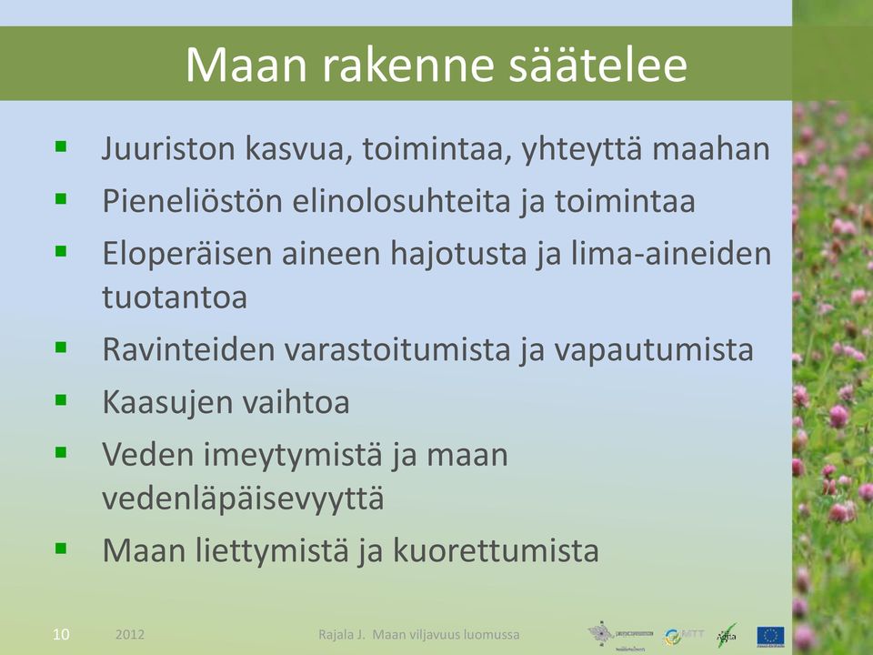 lima-aineiden tuotantoa Ravinteiden varastoitumista ja vapautumista Kaasujen