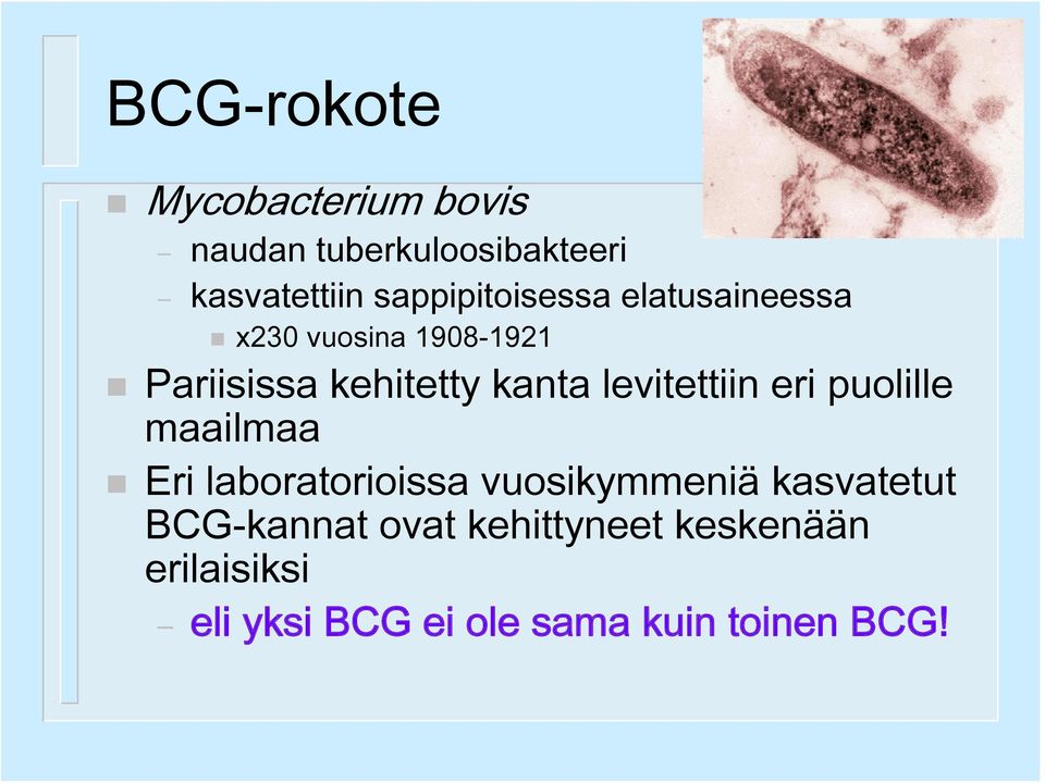 levitettiin eri puolille maailmaa Eri laboratorioissa vuosikymmeniä kasvatetut