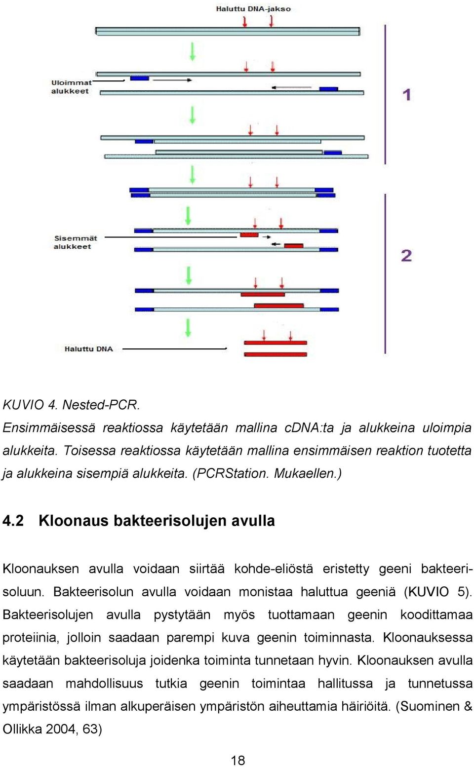 2 Kloonaus bakteerisolujen avulla Kloonauksen avulla voidaan siirtää kohde-eliöstä eristetty geeni bakteerisoluun. Bakteerisolun avulla voidaan monistaa haluttua geeniä (KUVIO 5).