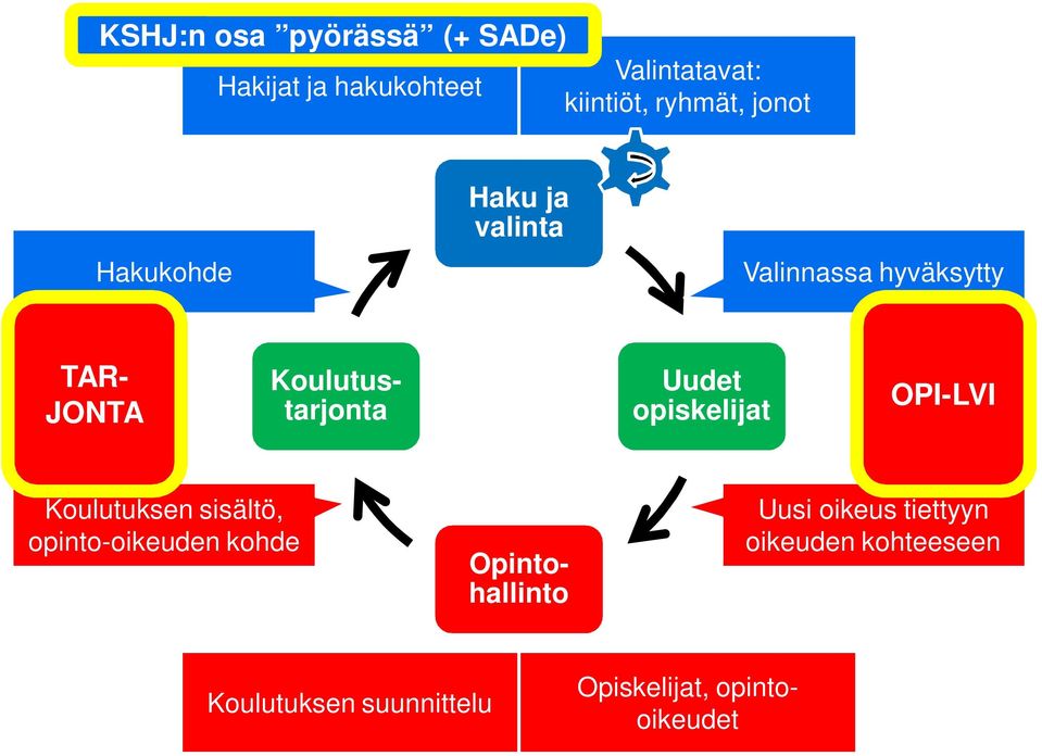 Uudet opiskelijat OPI-LVI Koulutuksen sisältö, opinto-oikeuden kohde Opintohallinto