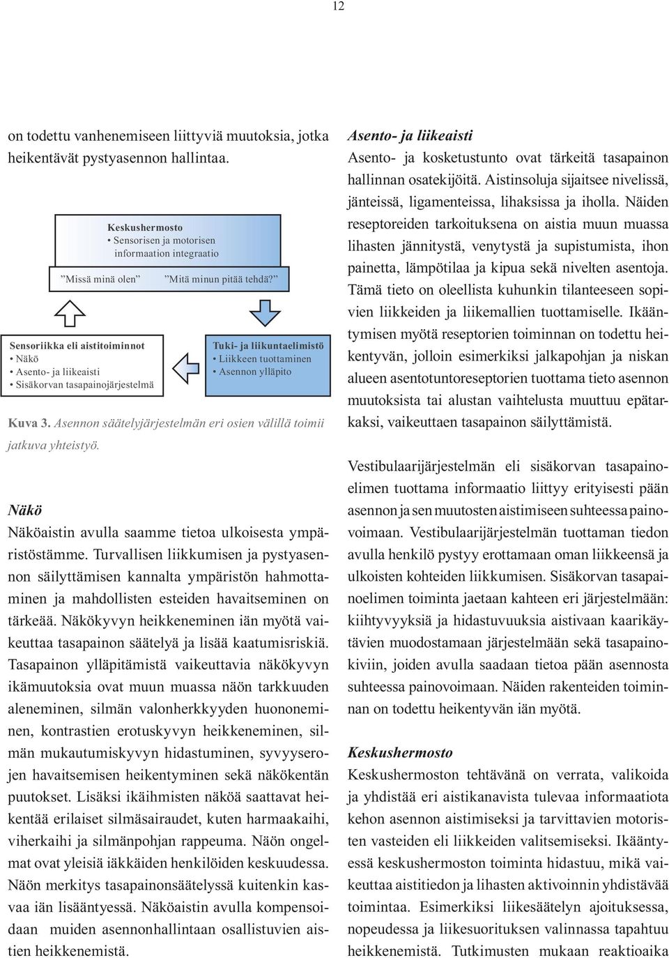 Tuki- ja liikuntaelimistö Liikkeen tuottaminen Asennon ylläpito Kuva 3. Asennon säätelyjärjestelmän eri osien välillä toimii jatkuva yhteistyö.