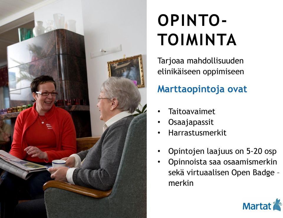 Osaajapassit Harrastusmerkit Opintojen laajuus on 5-20