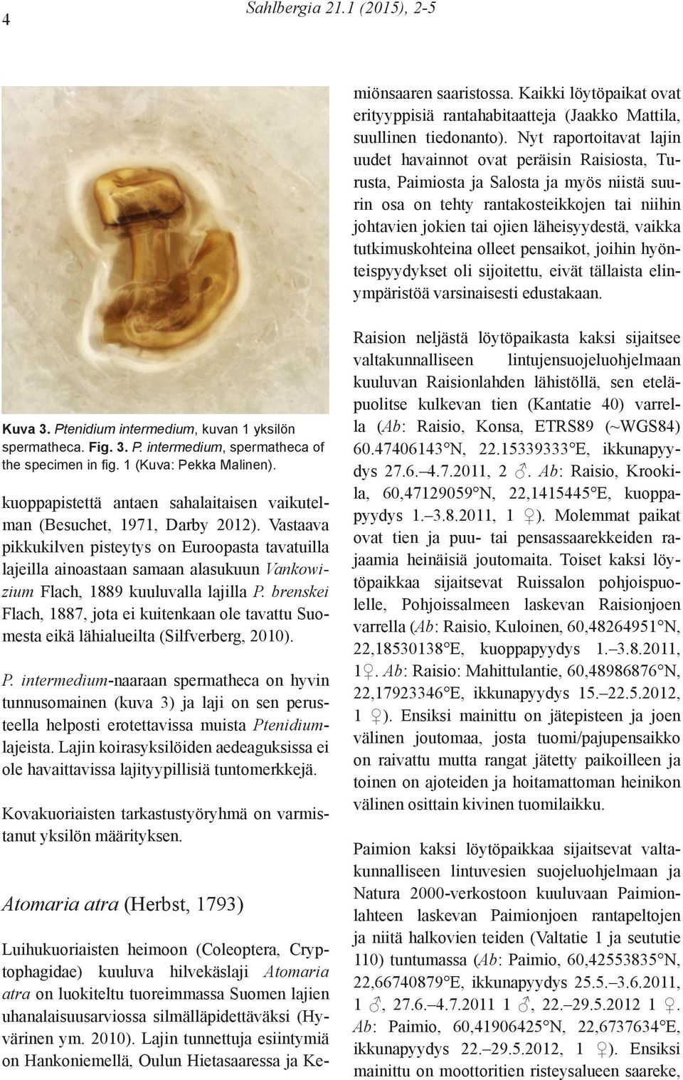 2010). Lajin tunnettuja esiintymiä on Hankoniemellä, Oulun Hietasaaressa ja Kemiönsaaren saaristossa. Kaikki löytöpaikat ovat erityyppisiä rantahabitaatteja (Jaakko Mattila, suullinen tiedonanto).