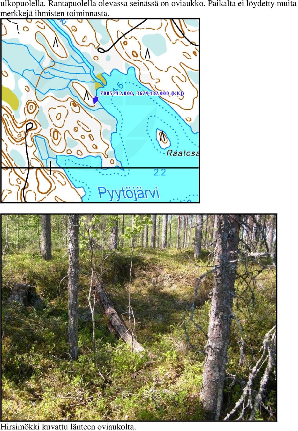 oviaukko.