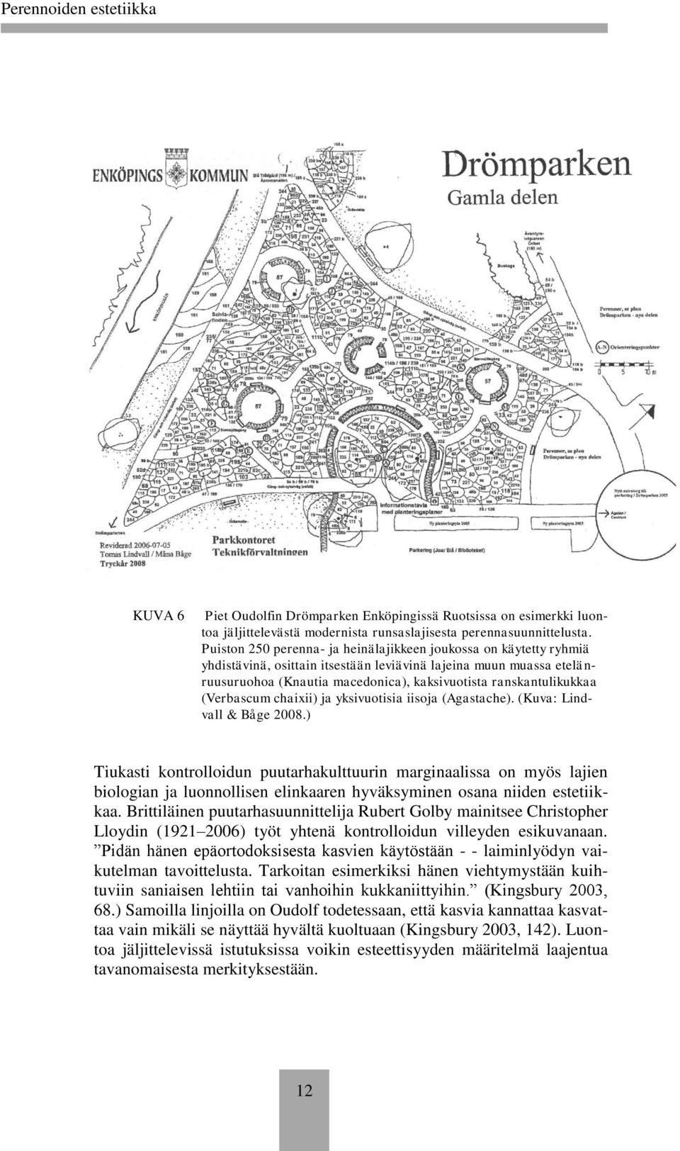 ranskantulikukkaa (Verbascum chaixii) ja yksivuotisia iisoja (Agastache). (Kuva: Lindvall & Båge 2008.
