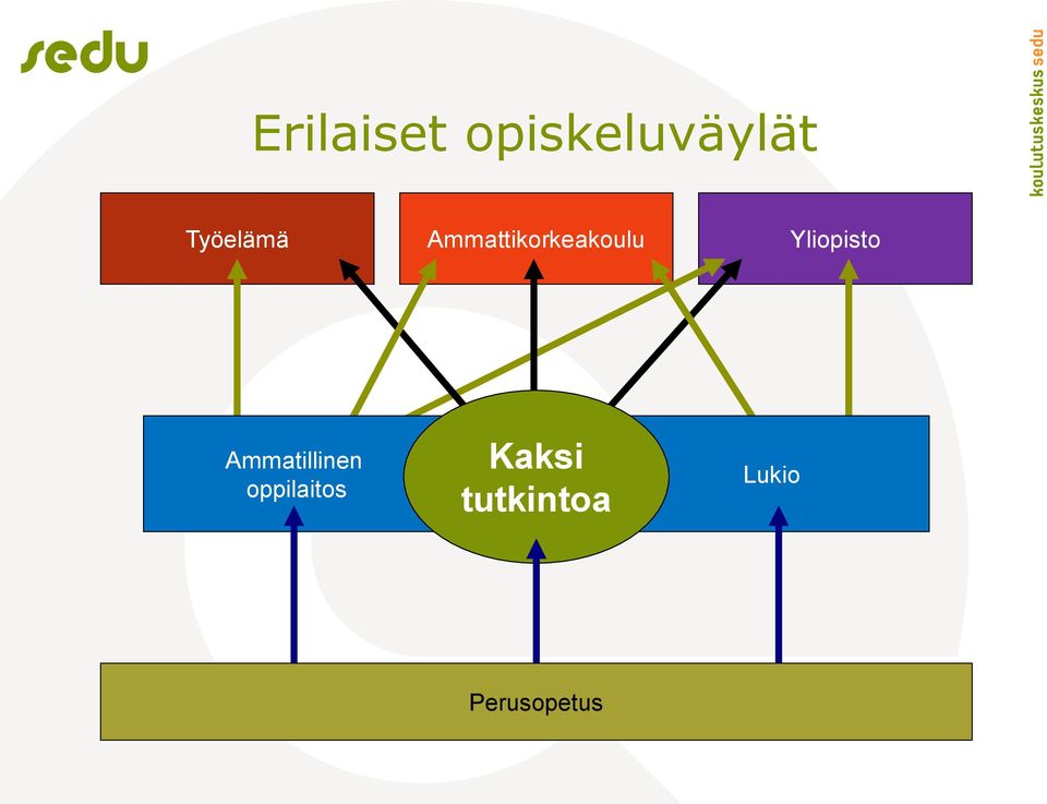 Yliopisto Ammatillinen