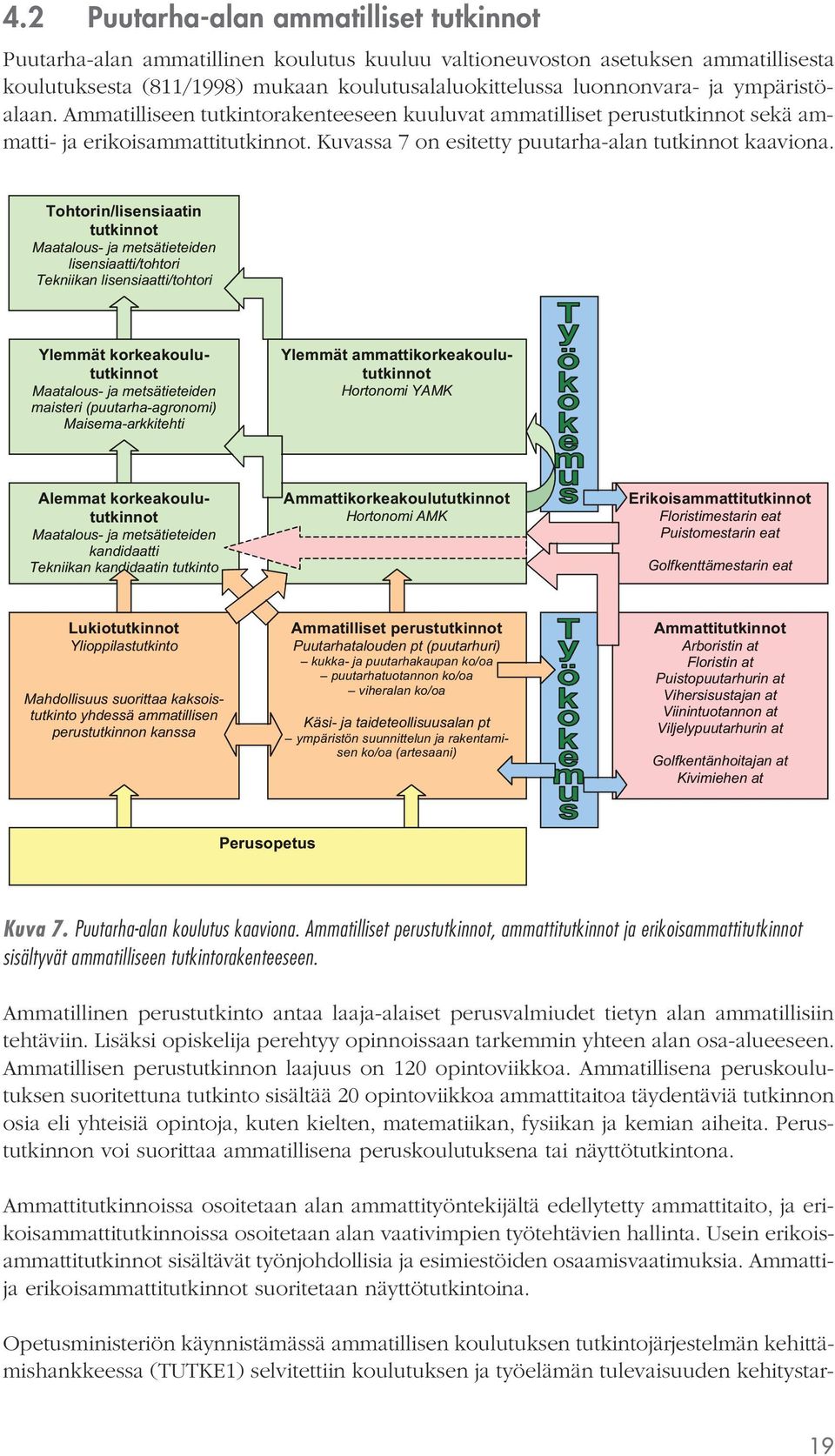 Tohtorin/lisensiaatin tutkinnot Maatalous- ja metsätieteiden lisensiaatti/tohtori Tekniikan lisensiaatti/tohtori Ylemmät korkeakoulututkinnot Maatalous- ja metsätieteiden maisteri (puutarha-agronomi)