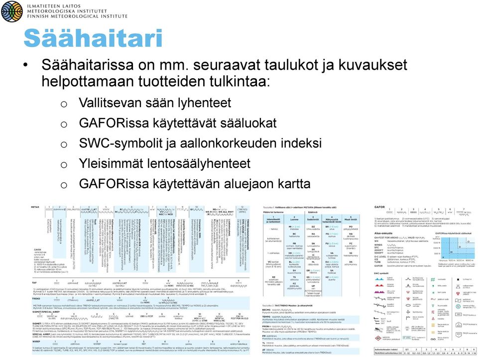 Vallitsevan sään lyhenteet GAFORissa käytettävät säälukat