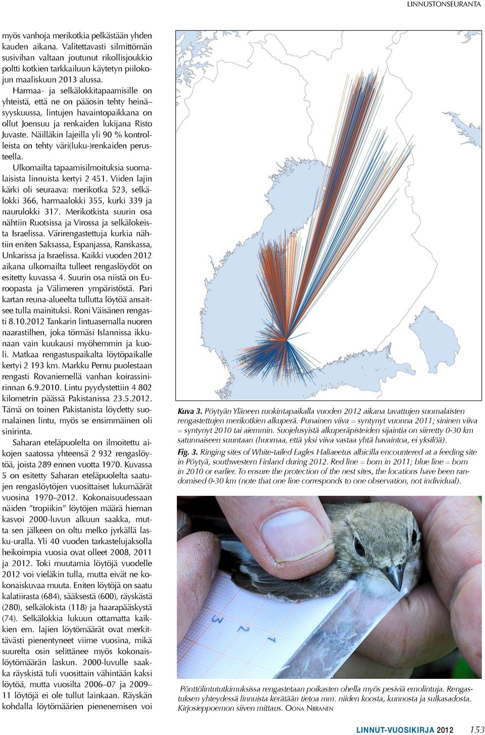 Harmaa- ja selkälokkitapaamisille on yhteistä, että ne on pääosin tehty heinä syyskuussa, lintujen havaintopaikkana on ollut Joensuu ja renkaiden lukijana Risto Juvaste.