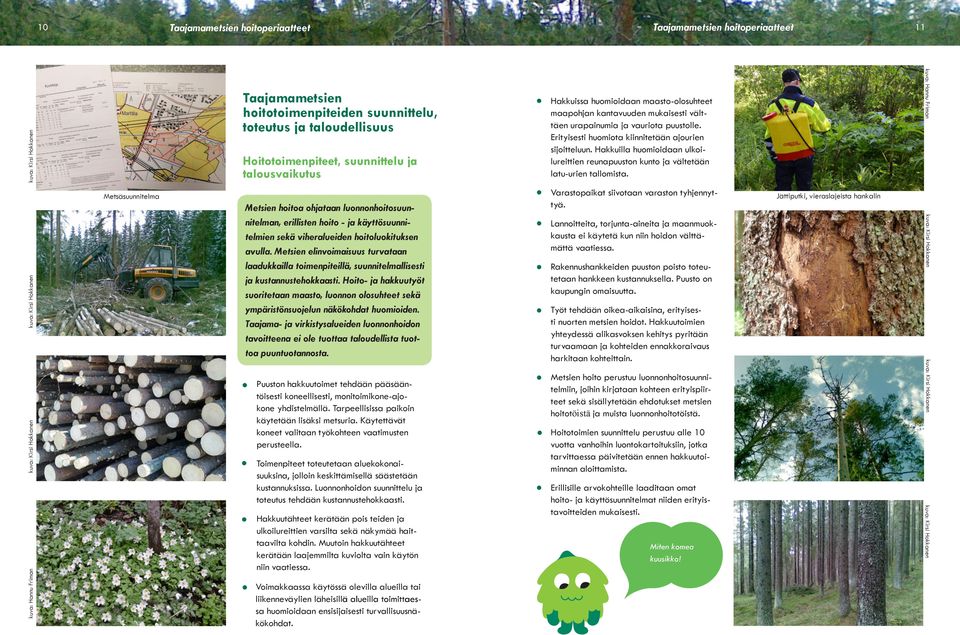 Metsien elinvoimaisuus turvataan laadukkailla toimenpiteillä, suunnitelmallisesti ja kustannustehokkaasti.