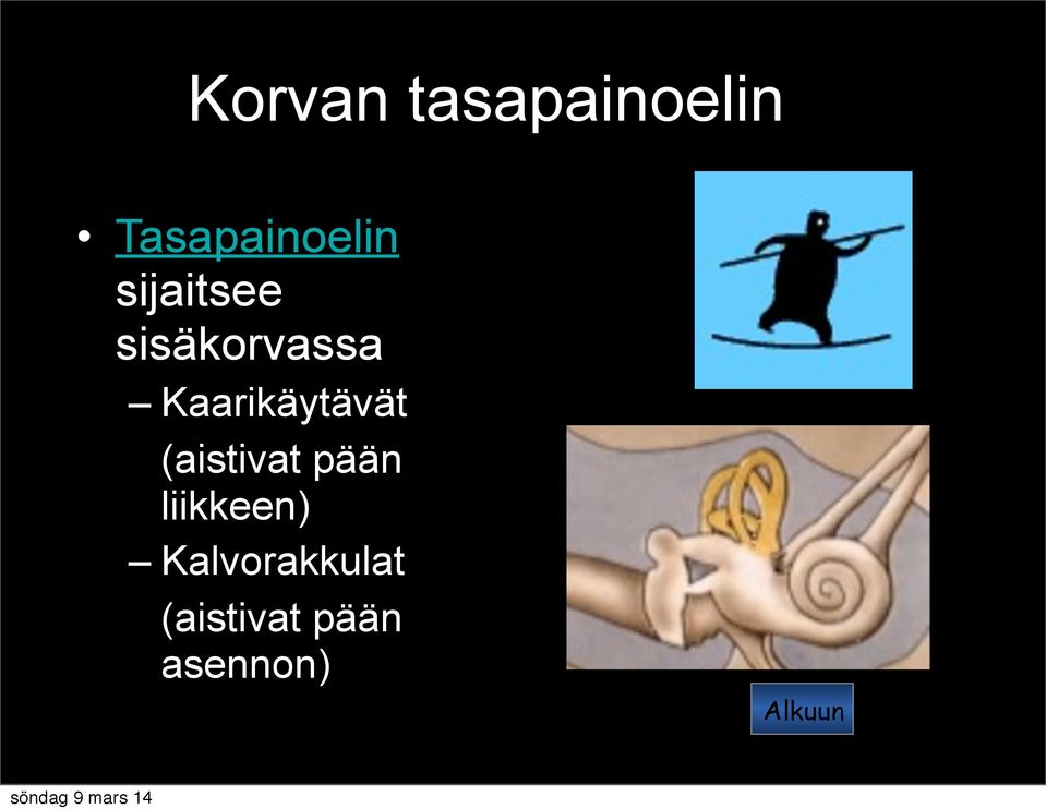 Kaarikäytävät (aistivat pään