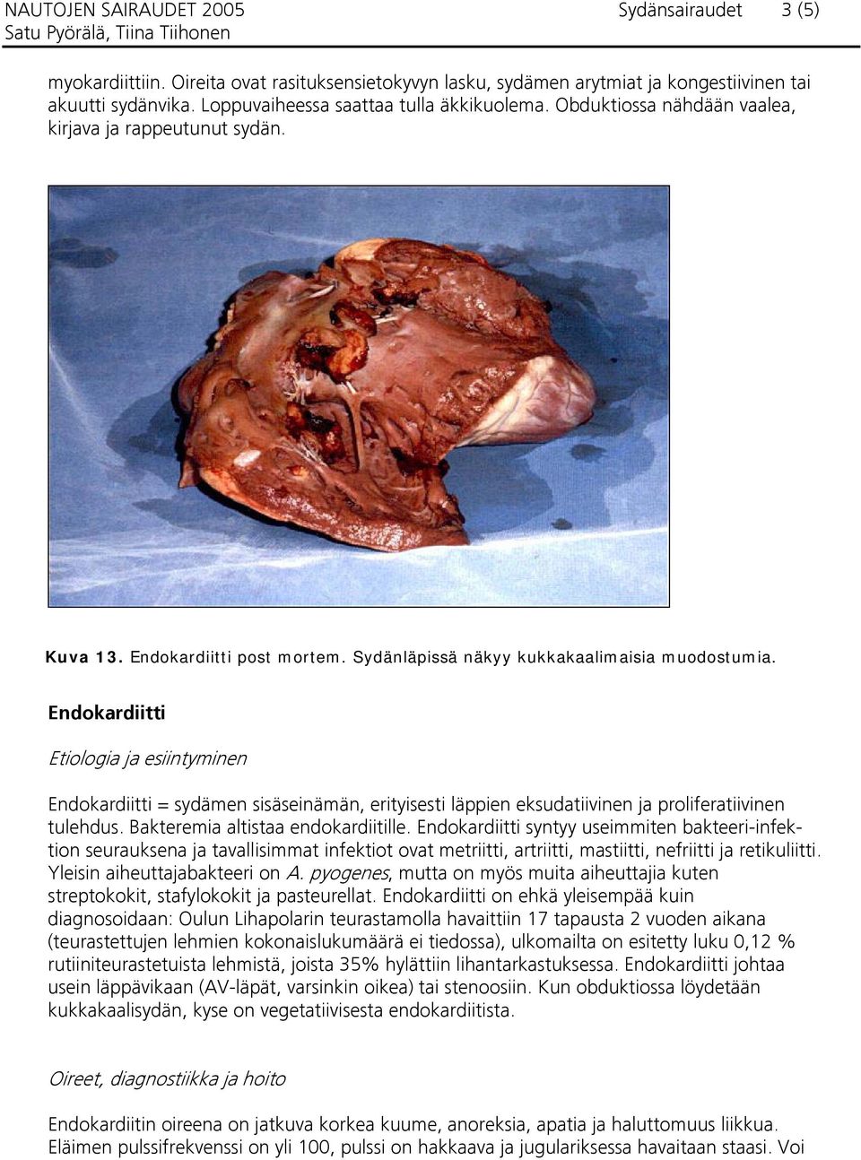 Endokardiitti Etiologia ja esiintyminen Endokardiitti = sydämen sisäseinämän, erityisesti läppien eksudatiivinen ja proliferatiivinen tulehdus. Bakteremia altistaa endokardiitille.