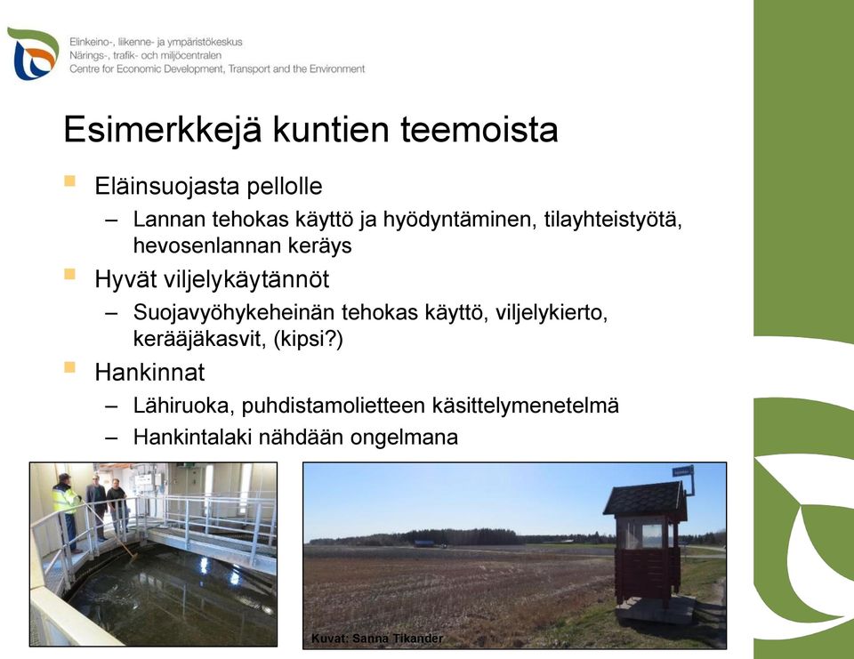 Suojavyöhykeheinän tehokas käyttö, viljelykierto, kerääjäkasvit, (kipsi?