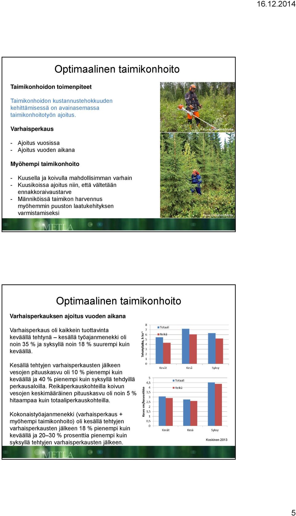 harvennus myöhemmin puuston laatukehityksen varmistamiseksi Varhaisperkauksen ajoitus vuoden aikana Varhaisperkaus oli kaikkein tuottavinta keväällä tehtynä kesällä työajanmenekki oli noin 35 % ja